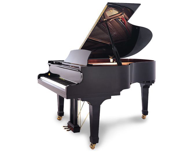 hailun6